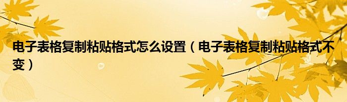 电子表格复制粘贴格式怎么设置（电子表格复制粘贴格式不变）