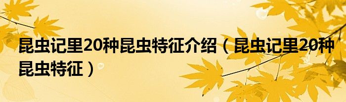 昆虫记里20种昆虫特征介绍（昆虫记里20种昆虫特征）
