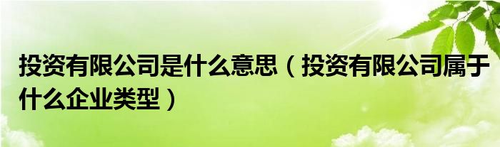 投资有限公司是什么意思（投资有限公司属于什么企业类型）