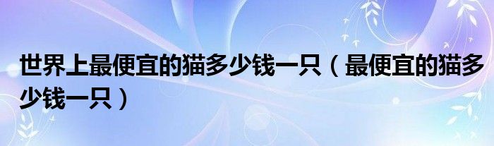 世界上最便宜的猫多少钱一只（最便宜的猫多少钱一只）