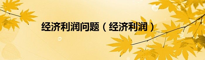 经济利润问题（经济利润）