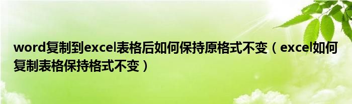 word复制到excel表格后如何保持原格式不变（excel如何复制表格保持格式不变）