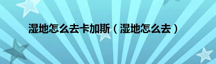 湿地怎么去卡加斯（湿地怎么去）