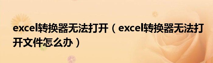excel转换器无法打开（excel转换器无法打开文件怎么办）