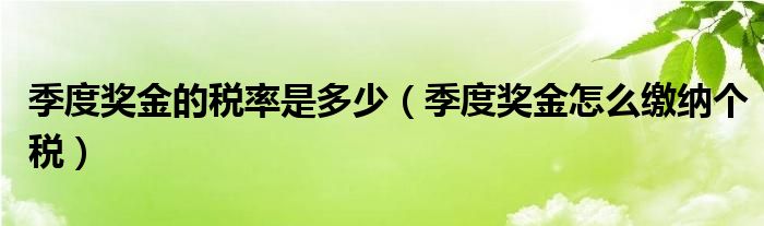 季度奖金的税率是多少（季度奖金怎么缴纳个税）