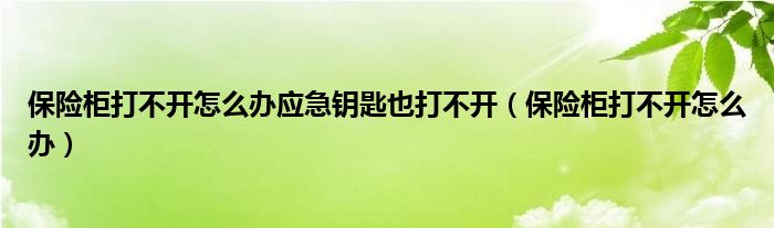 保险柜打不开怎么办应急钥匙也打不开（保险柜打不开怎么办）