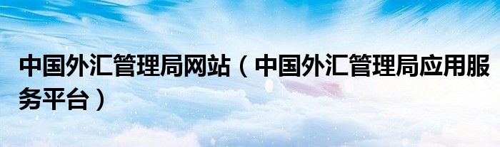 中国外汇管理局网站（中国外汇管理局应用服务平台）