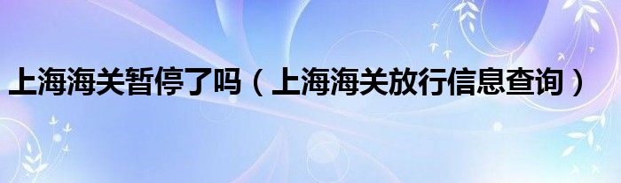 上海海关暂停了吗（上海海关放行信息查询）