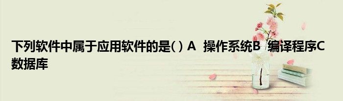 下列软件中属于应用软件的是( ) A  操作系统B  编译程序C  数据库