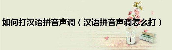 如何打汉语拼音声调（汉语拼音声调怎么打）