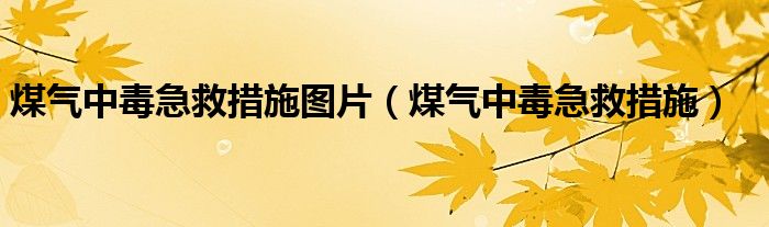 煤气中毒急救措施图片（煤气中毒急救措施）