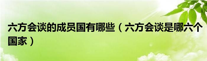六方会谈的成员国有哪些（六方会谈是哪六个国家）