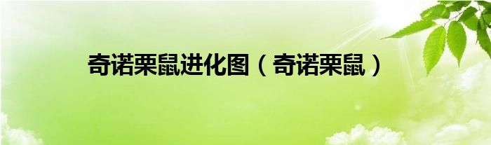 奇诺栗鼠进化图（奇诺栗鼠）