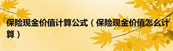 保险现金价值计算公式（保险现金价值怎么计算）
