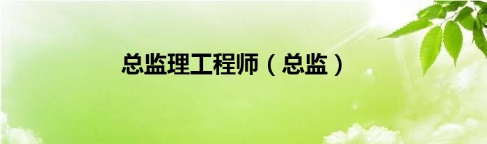 总监理工程师（总监）