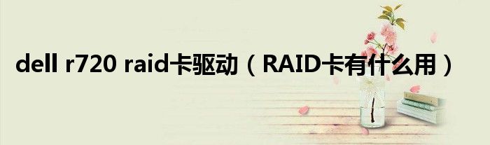 dell r720 raid卡驱动（RAID卡有什么用）