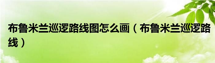 布鲁米兰巡逻路线图怎么画（布鲁米兰巡逻路线）