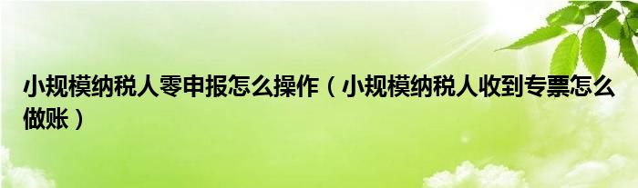 小规模纳税人零申报怎么操作（小规模纳税人收到专票怎么做账）