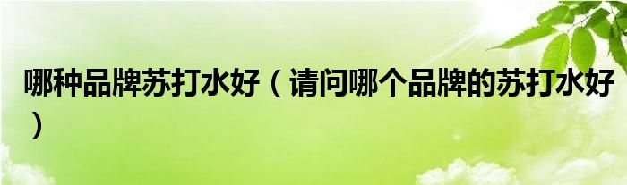 哪种品牌苏打水好（请问哪个品牌的苏打水好）