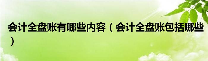 会计全盘账有哪些内容（会计全盘账包括哪些）