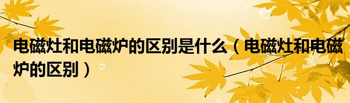 电磁灶和电磁炉的区别是什么（电磁灶和电磁炉的区别）