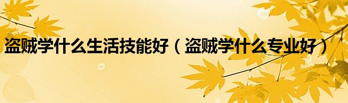 盗贼学什么生活技能好（盗贼学什么专业好）