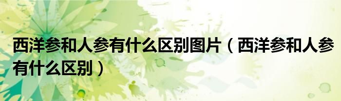 西洋参和人参有什么区别图片（西洋参和人参有什么区别）