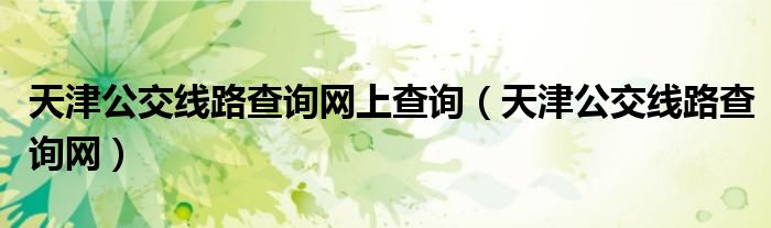天津公交线路查询网上查询（天津公交线路查询网）