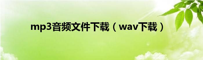 mp3音频文件下载（wav下载）