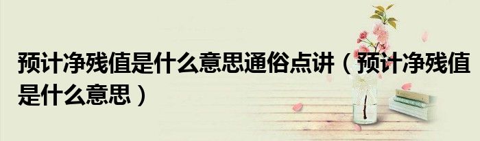 预计净残值是什么意思通俗点讲（预计净残值是什么意思）