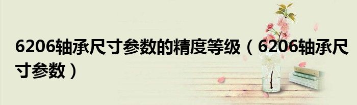 6206轴承尺寸参数的精度等级（6206轴承尺寸参数）