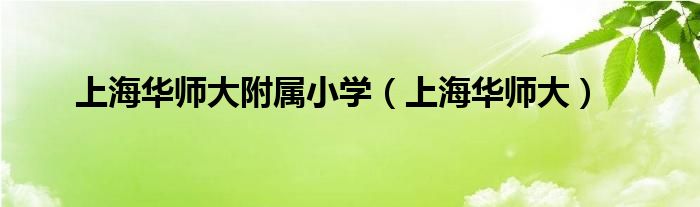 上海华师大附属小学（上海华师大）