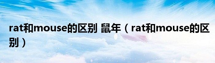 rat和mouse的区别 鼠年（rat和mouse的区别）