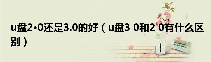 u盘2·0还是3.0的好（u盘3 0和2 0有什么区别）