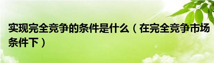 实现完全竞争的条件是什么（在完全竞争市场条件下）