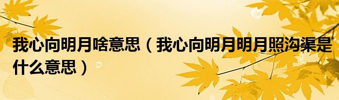 我心向明月啥意思（我心向明月明月照沟渠是什么意思）