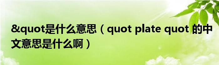 "是什么意思（quot plate quot 的中文意思是什么啊）