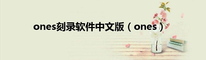 ones刻录软件中文版（ones）