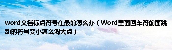 word文档标点符号在最前怎么办（Word里面回车符前面跳动的符号变小怎么调大点）