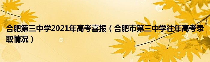 合肥第三中学2021年高考喜报（合肥市第三中学往年高考录取情况）