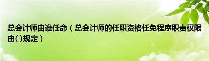 总会计师由谁任命（总会计师的任职资格任免程序职责权限由( )规定）