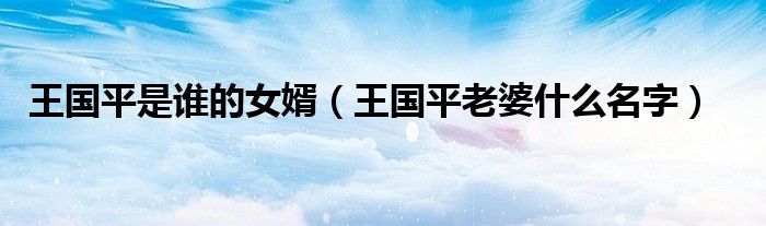王国平是谁的女婿（王国平老婆什么名字）