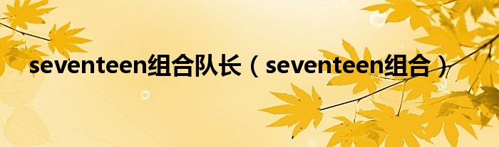 seventeen组合队长（seventeen组合）