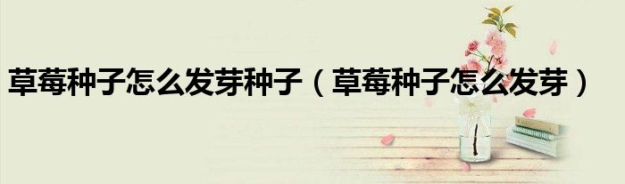 草莓种子怎么发芽种子（草莓种子怎么发芽）