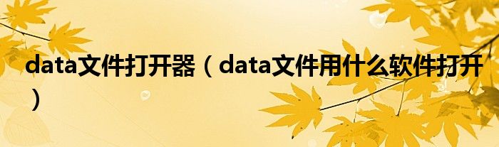 data文件打开器（data文件用什么软件打开）