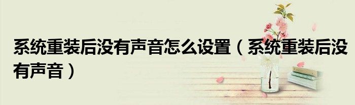 系统重装后没有声音怎么设置（系统重装后没有声音）