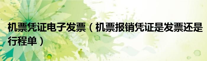 机票凭证电子发票（机票报销凭证是发票还是行程单）