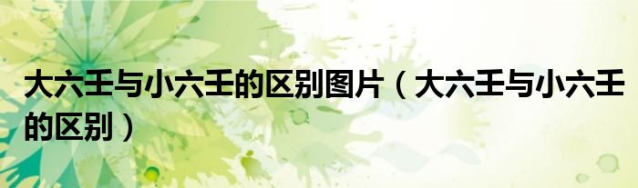 大六壬与小六壬的区别图片（大六壬与小六壬的区别）