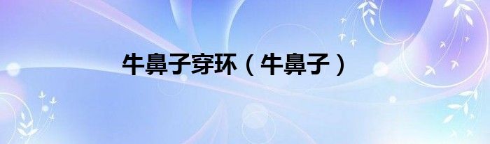 牛鼻子穿环（牛鼻子）