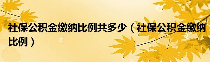 社保公积金缴纳比例共多少（社保公积金缴纳比例）